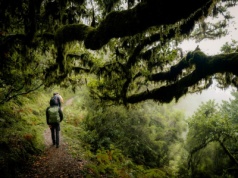 Turystów czekają wielkie zmiany. Tajemniczy las już nie będzie dla wszystkich