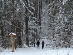 Roztoczański Park Narodowy… odradza turystom wizyty. Wszystko przez pogodę