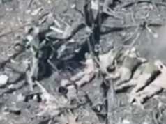 Rosyjscy agresorzy rozstrzelali 6 ukraińskich jeńców