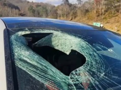 "Na pewno mi pan nie uwierzy". Ptak upuścił nietypowy pocisk w szybę auta