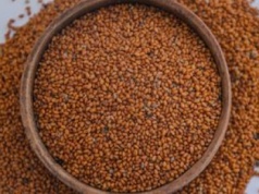 Nasze babcie piły codziennie. Ten olej wspiera serce i poprawia stan skóry