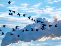 Świat wciąż pędzi na ropie i gazie. Upadają "absurdalne scenariusze"