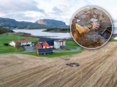 Tajemniczy pochówek Wikingów. Kobieta z muszlami na ustach