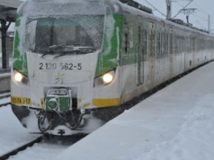 Nadeszła zima! Coraz więcej białego puchu w Radomiu i regionie (GALERIA ZDJĘĆ)