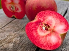 Ten owoc to święty Graal smakoszy. Spotkasz go tylko w kilku miejscach. Niemcy go uwielbiają