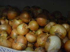 Naturalne sposoby na odporność – warto je wypracować!