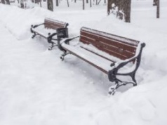 Zima paraliżuje Podkarpacie. Ponad 75 tys. domów bez prądu: służby ostrzegają!