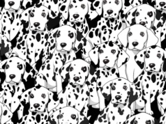 Znajdź innego psa pośród dalmatyńczyków. Najlepszym wystarczy pięć sekund