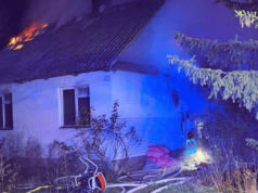 Pies czeka na właściciela, który zginął w pożarze