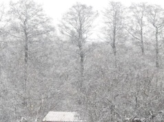 Silny mróz i zamiecie śnieżne. IMGW ostrzega przed najbliższymi godzinami