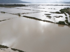 Powódź w Albanii. Jedna osoba nie żyje, setki zwierząt utonęło