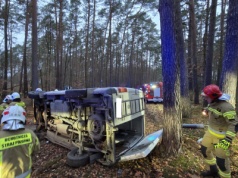 Samochód uderzył w drzewo, jedna osoba do szpitala