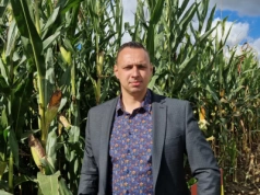 Sprawdzili 35 odmian kukurydzy. Które najlepiej poradziły sobie w trudnych warunkach?