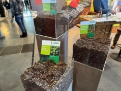 Jakie podłoże uprawowe wybrać? Mieszanki substratowe dobrane do potrzeb