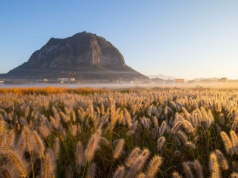 Koreańska wyspa Jeju wśród 25 najlepszych kierunków podróży na rok 2026