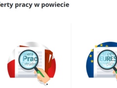 Aktualne oferty pracy