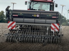 Siać jeszcze pszenicę ozimą? Kiedy termin siewu przewódki?