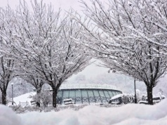 Mroźny tydzień na Sądecczyźnie. Śnieg, mróz i przejaśnienia. Sprawdziliśmy prognozę dzień po dniu