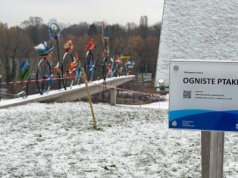 Ptaki Hasiora - płonące czy ogniste? Każda z tablic mówi co innego