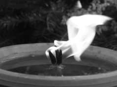 Irena Rupińska nie żyje. Znana przedsiębiorczyni zginęła w wieku 54 lat