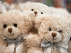 Dziś ma go każde dziecko. Tak powstał pierwszy pluszowy miś. Historia zabawki zaczęła się od polowania