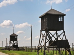 Dwie cechy wspólne. Profile psychologiczne strażniczek z Majdanka