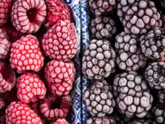 Wołyń staje się kluczowym ośrodkiem produkcji ekologicznych jagód i mrożonek na Ukrainie