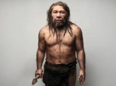 Kanibalizm neandertalczyków – co mówią kości o ofiarach?