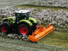 Zlikwidować poplony czy zostawić do lutego?