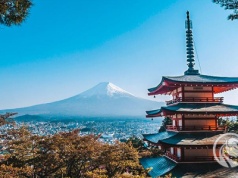 Chiny zatrzymają kolejne podwyżki stóp procentowych w Japonii?