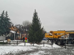 Choinka na Placu Mickiewicza już stoi!