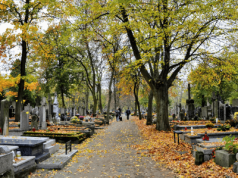Wstęp na cmentarz w tej miejscowości jest płatny. Każdy musi kupić bilet, są też ulgowe