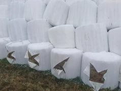 Ktoś pociął rolnikowi baloty. "Czym mam karmić moje krowy?"