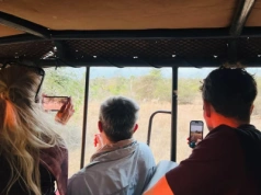 Nieoczywisty kierunek na safari. Wkrótce może podbić serca Polaków