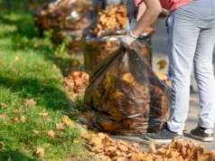 Na osiedlach w Polsce to już plaga. Tak robimy przyrodzie podwójną krzywdę