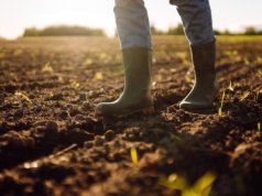 Rolnicy otrzymają większe wsparcie z ARiMR