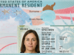 Ostatnia szansa na zdobycie Zielonej Karty 2025!