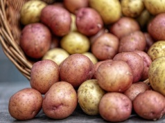 Wroński ujawnia: „Państwowa spółka mogła kupować niemieckie ziemniaki! Kto odpowie?”