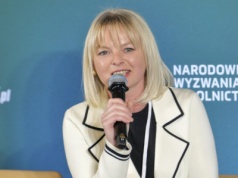 Czy agrowoltaika na żyznych glebach to koń trojański wielkiego biznesu OZE?