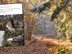 Leśnik pokazał, co znalazł w lesie. Ostrzega. 