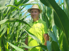 Kukurydza walczyła o przetrwanie. Jaki był ten sezon?