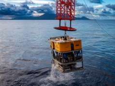 Oceaniczna anomalia u wybrzeży Papui Nowej Gwinei. Zdalnie sterowane łodzie weszły w kontakt z tamtejszym życiem