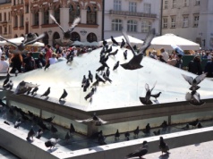 Rynek Główny czeka zmiana. Tak krakowianie wyobrażają sobie nową fontannę
