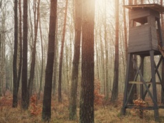 Wypadek na polowaniu. Polująca kobieta postrzeliła spacerowiczów. Trwa śledztwo