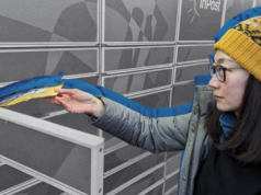 Głowisz się jak wysłać paczkę za granicę? InPost dodaje nowe kraje do listy dostaw