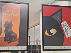 Wystawa „Kocie sprawy”, czyli o kotach i „człowiekach”