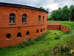 Skandal na Żoliborzu! Kontrowersyjna budowa rusza mimo sprzeciwu mieszkańców