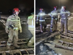 Pies utknął w błocie, nie można było do niego dotrzeć. Na pomoc ruszyli strażacy