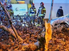 Śnieg łamie drzewa. Duże zagrożenie (ZDJĘCIA)