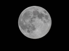 Czy pełnia Księżyca ma wpływ na człowieka? Naukowcy: może jest coś na rzeczy